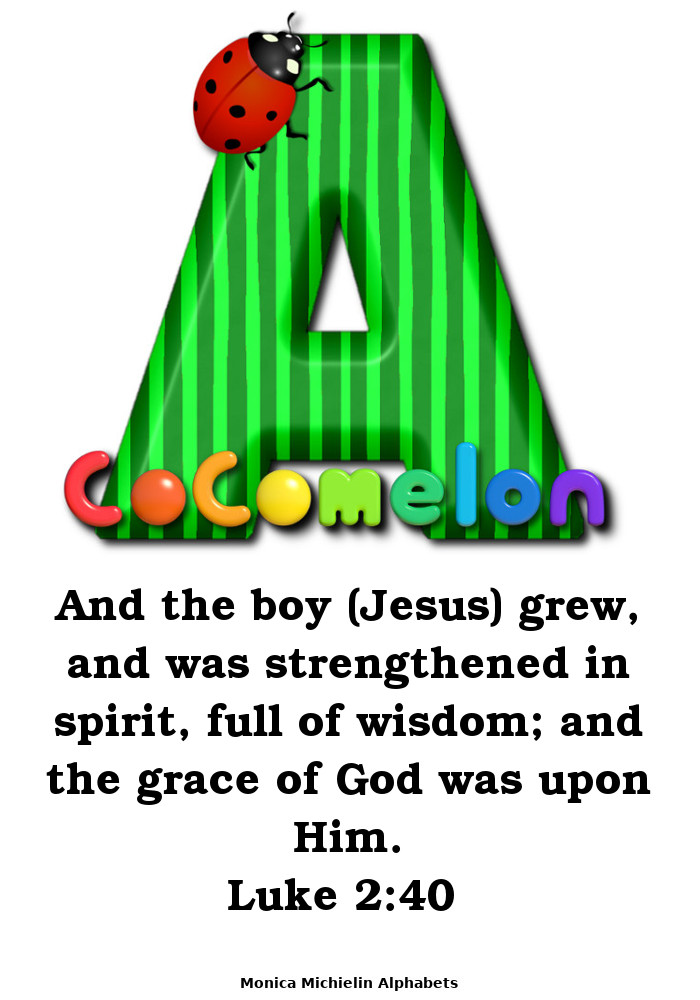 M. Michielin Alphabets WATERMELON LADYBUG ALPHABET LETTERS