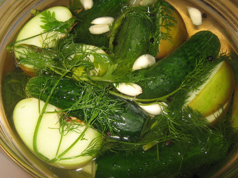Помолосолить огурцы в кастрюле. Приготовить вкусно малосольные огурчики как в кастрюле. Огурцы малосольные классический. Приготовить вкусно малосольные огурчики как в кастрюле. Малосольные огурцы холодным способом.
