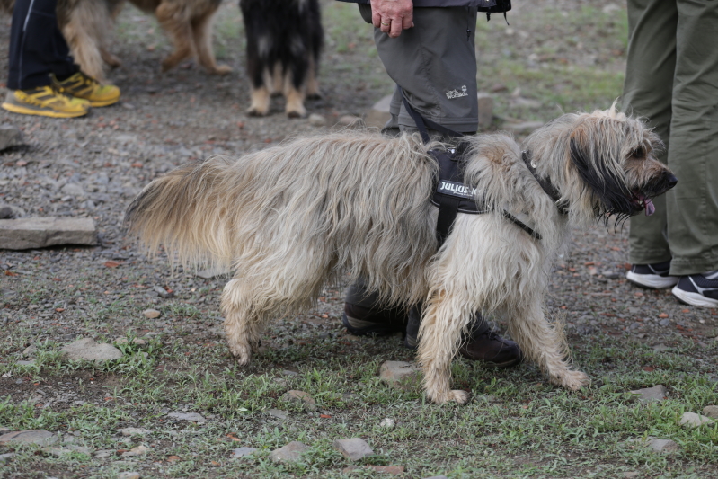 Brainstorming Tipps U Tricks Weitergeben Archiv Outdoorseiten Net
