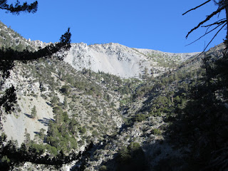 View north up San Antonio Canyon toward Baldy Bowl