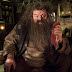 KVÍZ - Mennyire ismered Rubeus Hagridot?