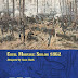 Cruel Morning: Shiloh 1862 by Tiny Battle Publishing