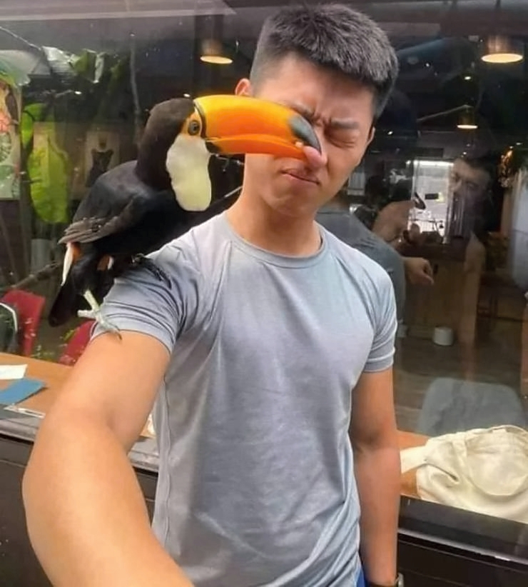 Lustige Selfies - Urlaub Vogel auf Schulter beißt