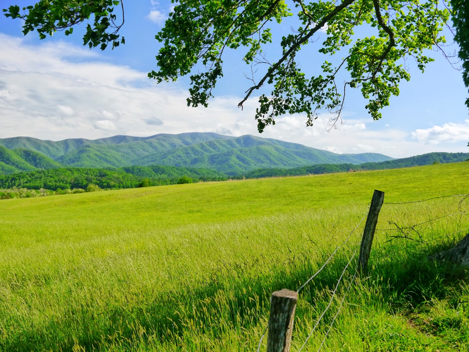 American Travel Journal Cades Cove Loop Road Great Smoky Mountains