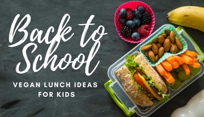 Back to School Vegan Lunch Ideas for Kids A kids lunch box with a salad roll, vegetables and fruit