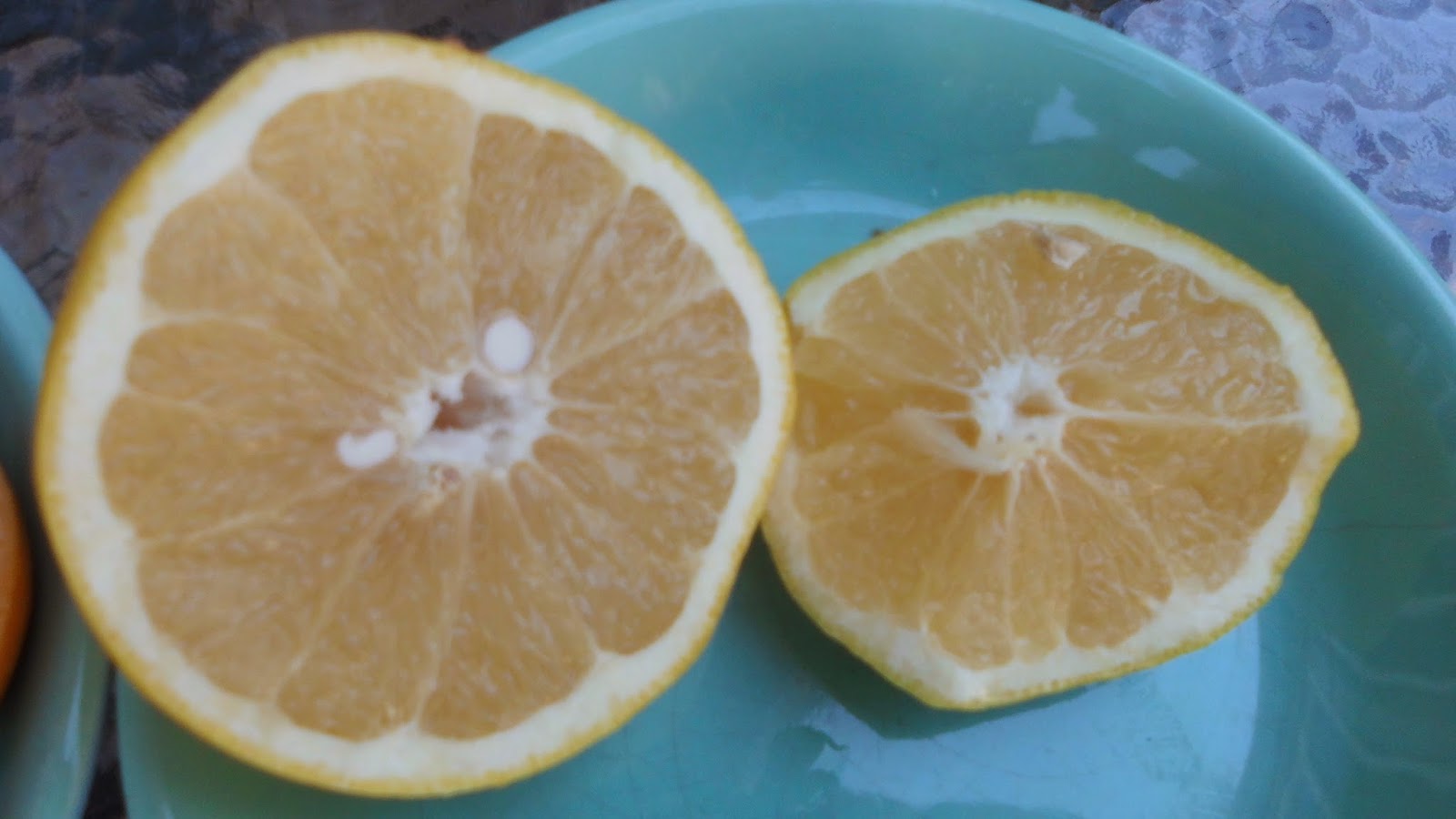 Tudo em Casa Gourmet Lembranças da Argentina Parte 2 Pomelo Rosado e Pomelo Branco.