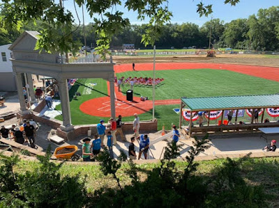 bellevue veterinary clinic