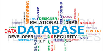 function performed in database management