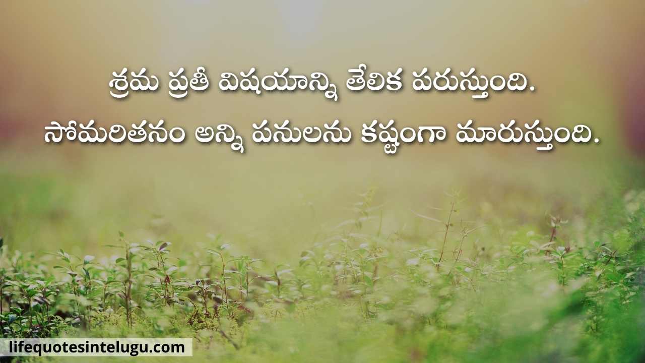 Life Quotes In Telugu