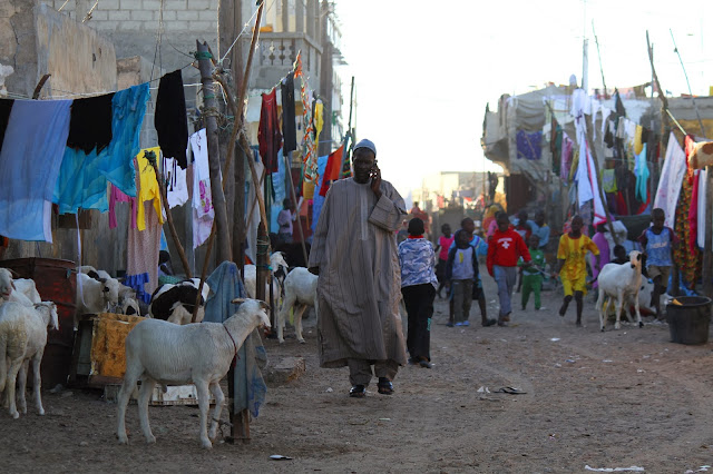 Visitar SAINT LOUIS e ver a mais bela povoação do Senegal e a herança colonial | Senegal