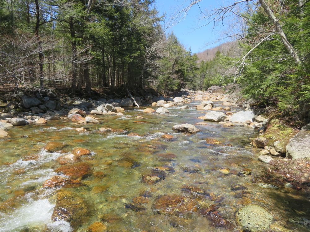 Outdoor Diversion Hall's Ledge Trail and Hutmen's Trail Loop Hike