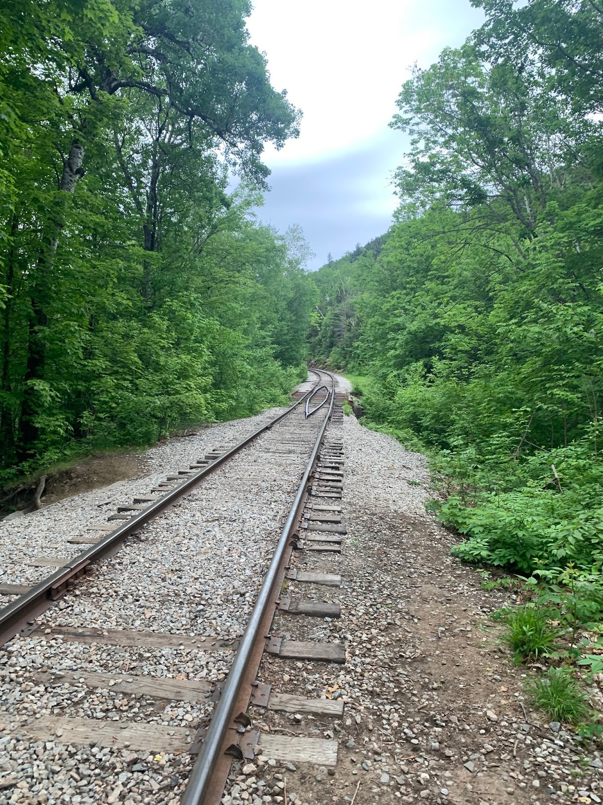 Sage's White Mountain Treks June 2019 hikes Carrigain, Tom Field