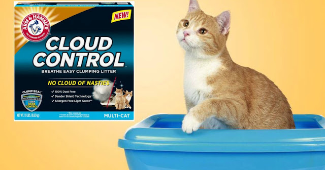 free-arm-hammer-cloud-control-cat-litter-with-mail-in-rebate-free