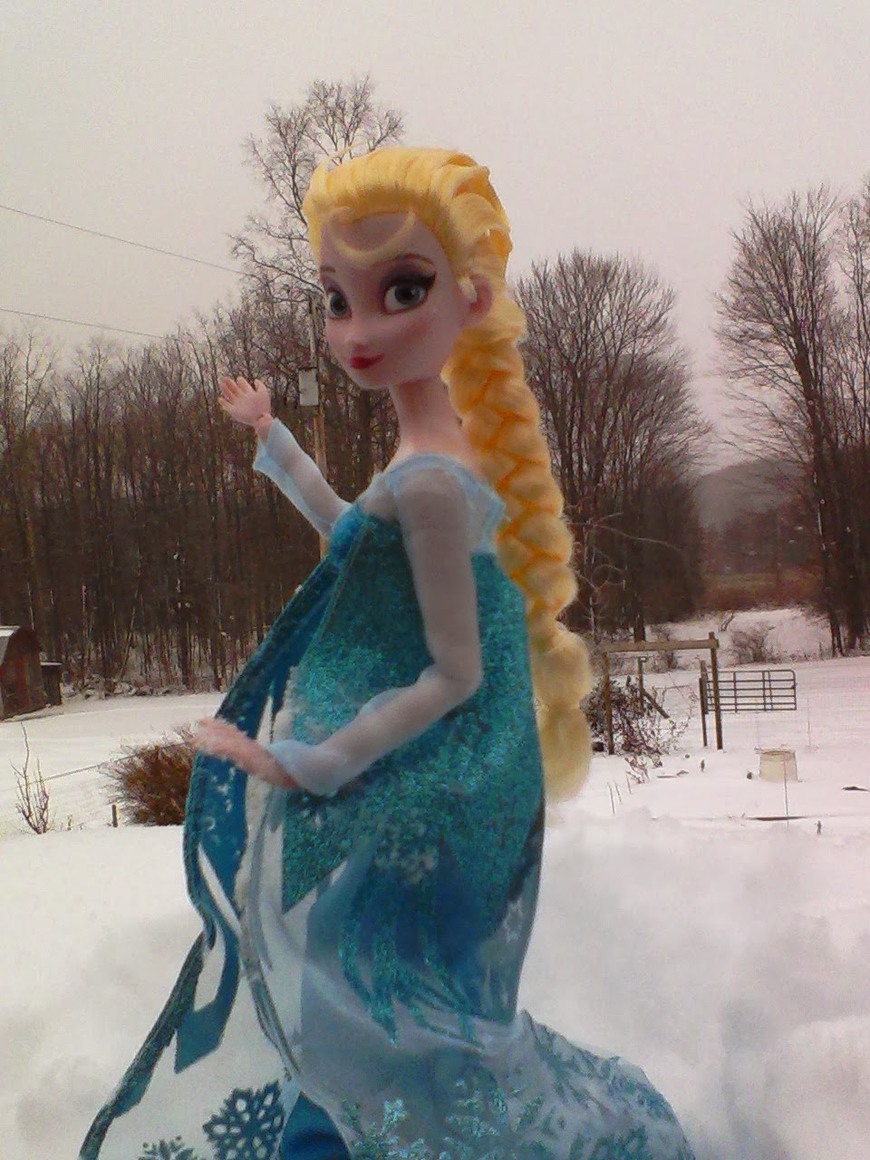 A Dolly a Day - Tips, reviews, and DIY tips for your dolls!: Frozen