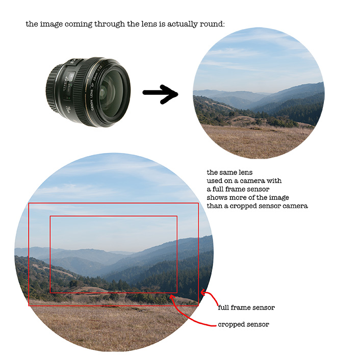 Digital Photography Photoshop Choosing The Right Lens digital-photography-photoshop-choosing-the-right-lens