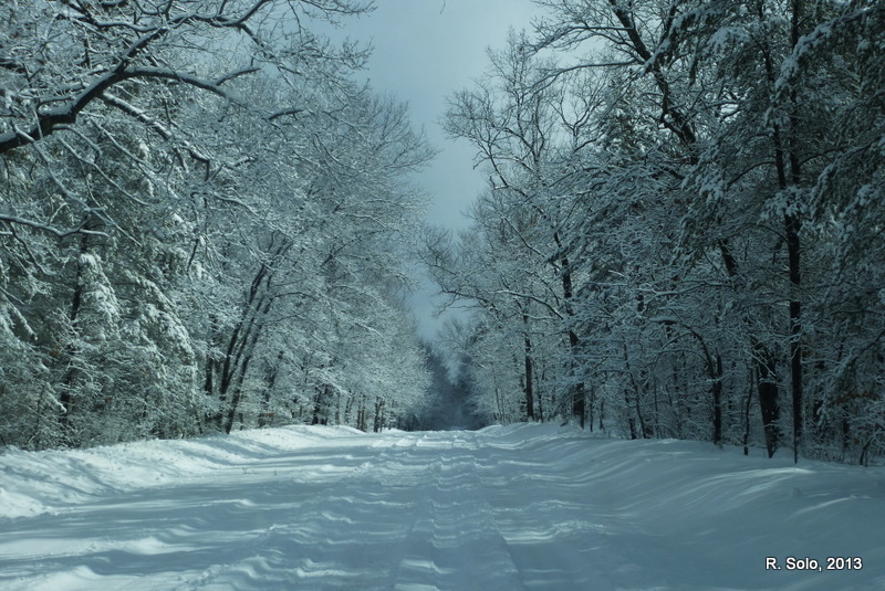 Life Outside the Swamp A Little February Snow Storm