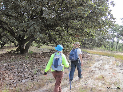 Caminando en la brecha del Cerro San Miguel