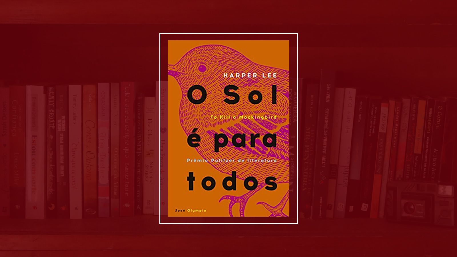 Resenha: O sol é para todos ~ Leia Pop