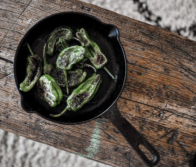 pimientos de padron espanjalainen espanjan herkku lisuke alkuruoka