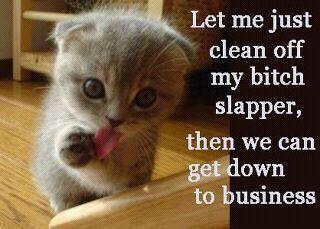 Kitty Says