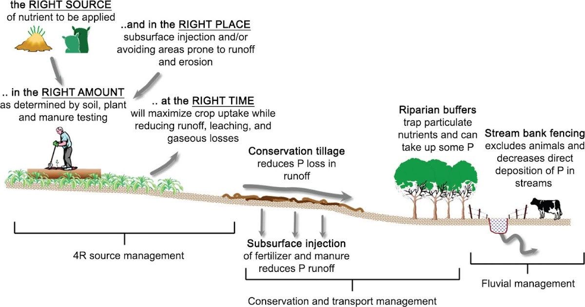 Real life example for linear regression fertiliser, water and crop yields