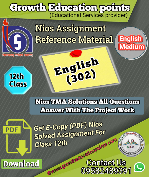 nios assignment english
