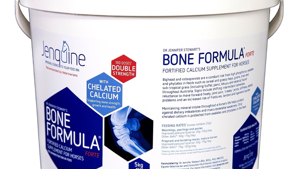 Bone Supplements For Horses Horse Choices