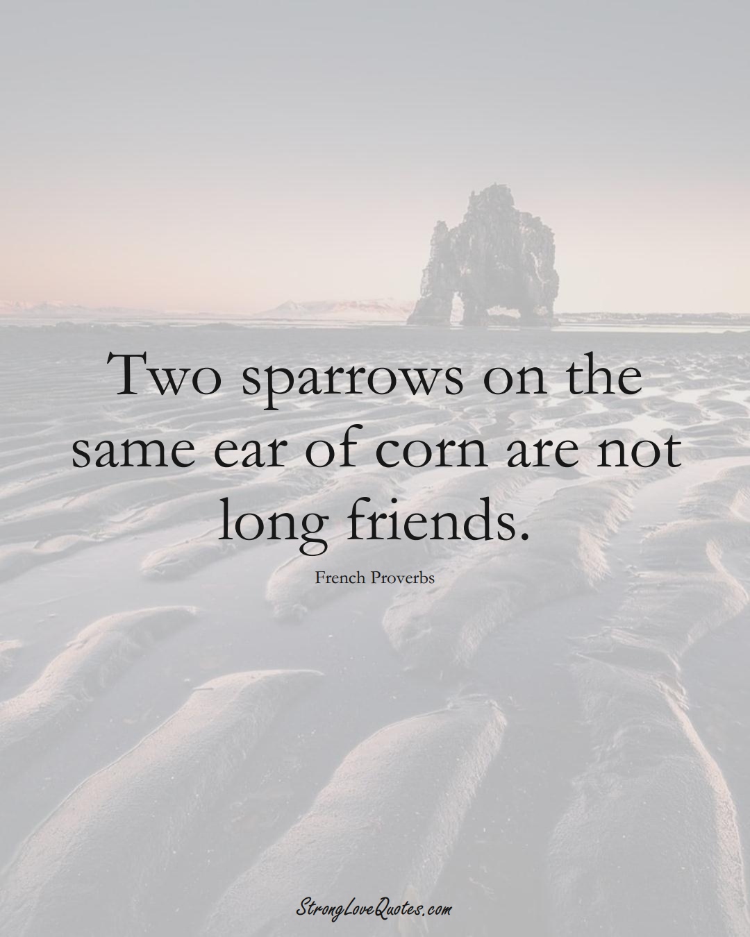 Two sparrows on the same ear of corn are not long friends. (French Sayings);  #EuropeanSayings