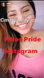 Filter pride instagram || Cara Mudah dapatkan Filter Pride instagram