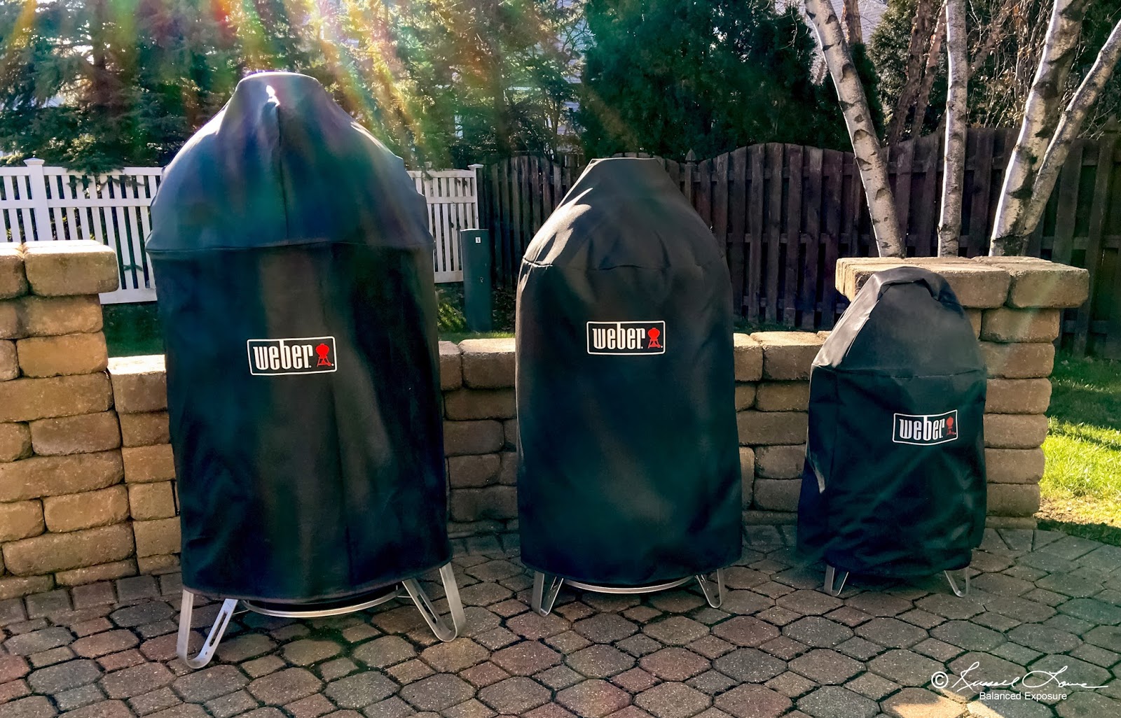 webber smokey mountain smoker webber smokey mountain smoker