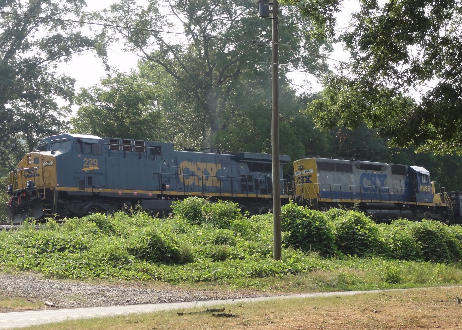 Andrew's Depot Emerson, Train watching