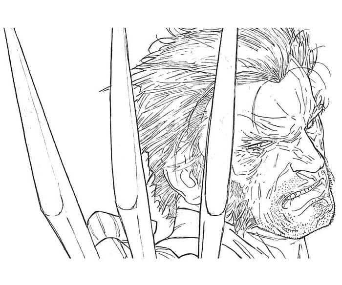 Printable Wolverine Coloring Pages - Yuk Sebar