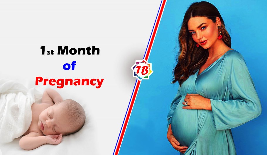 First month of pregnancy