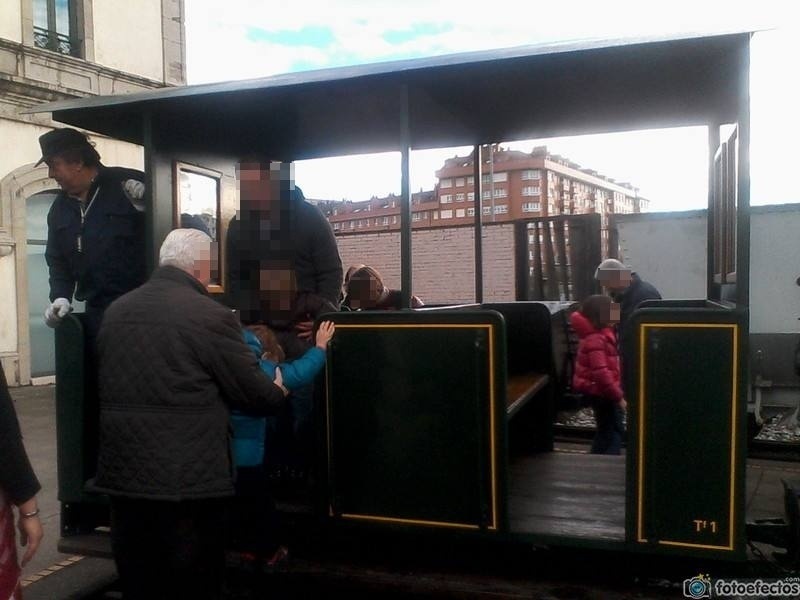 tren jardinera a vapor