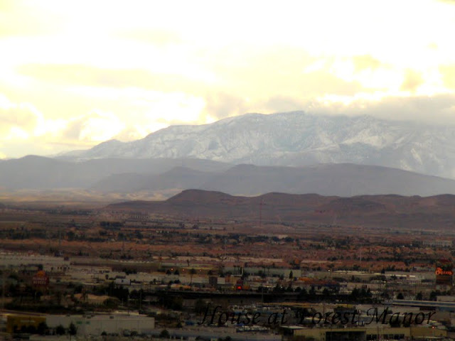 House at Forest Manor: Oh The Places I've Been -- Bellagio Hotel, Las Vegas