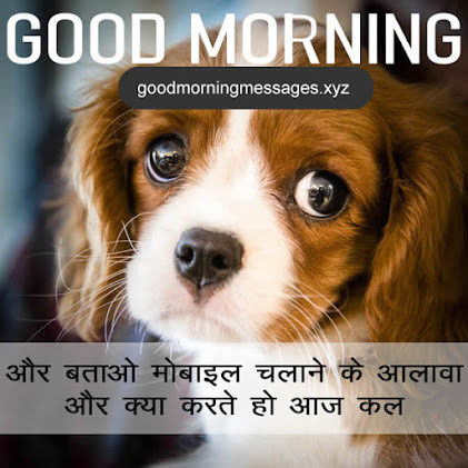 Cute Puppy Good Morning Pictures With Message In Hindi