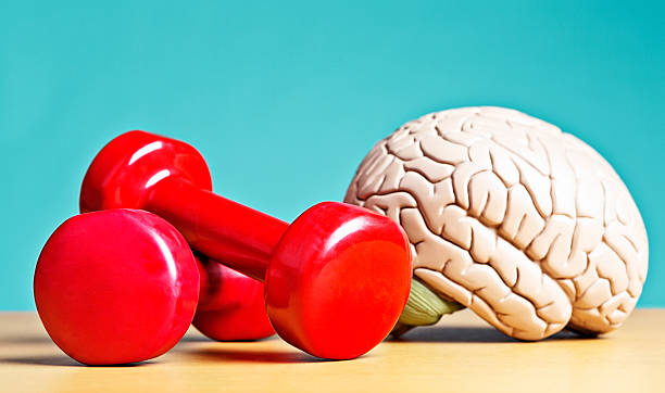 Concious & Subconcious Mind Image Concious & Subconcious Mind Image