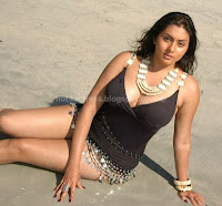 Actress, namitha, hot, bikini, pics