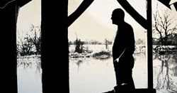 David Gilmour tra Pink Floyd e i dischi "sull'isola"