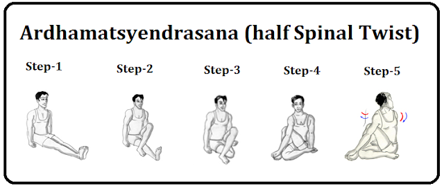 Yoga Posture Guide - The Half Spinal Twist Pose (Ardha-matsyendra-asana ...