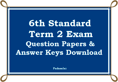 6th standard essay 2 question paper picture