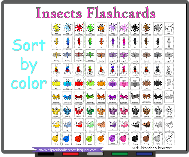 insects flashcards by color