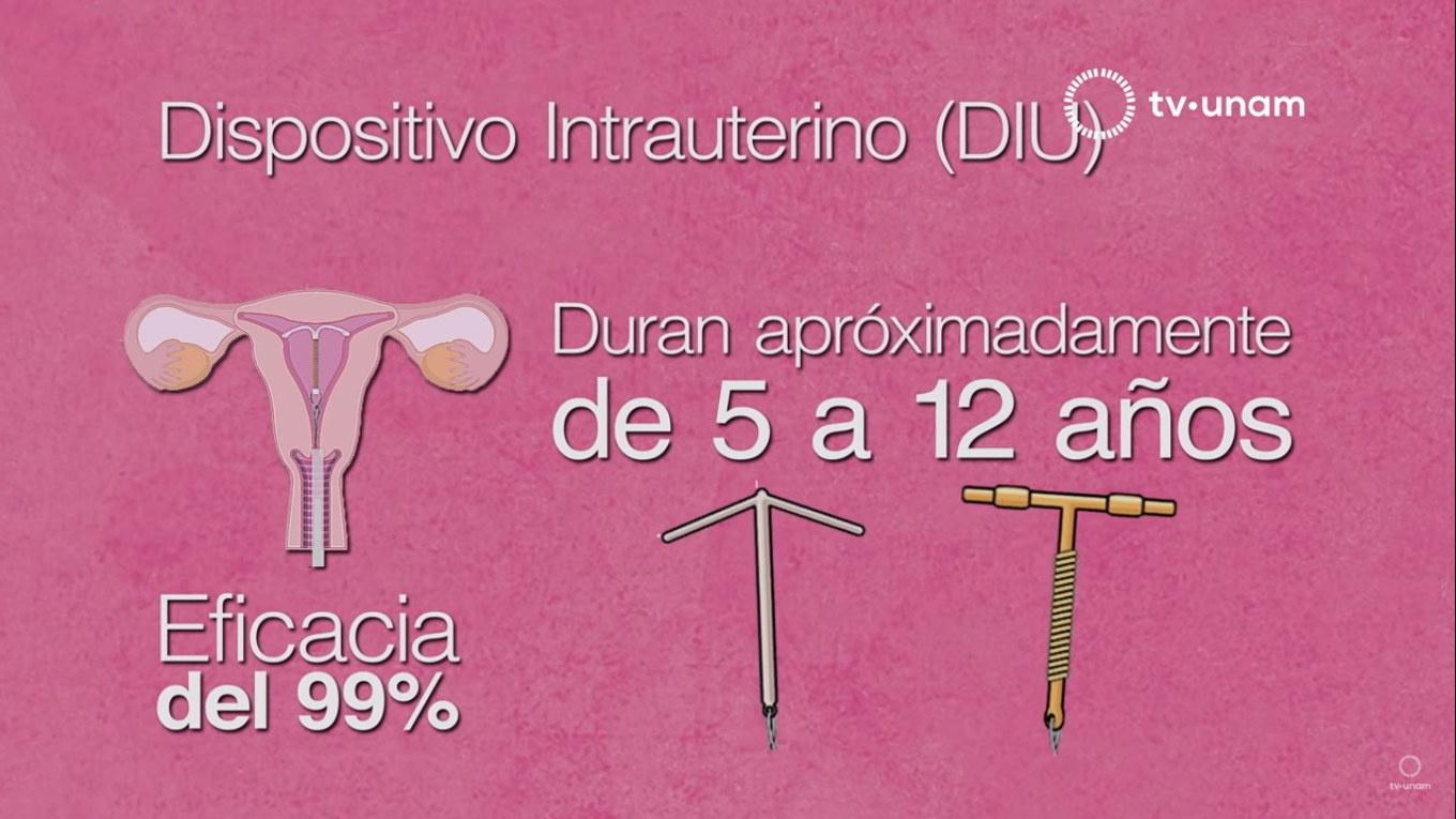 ANA CLARA junio 2021