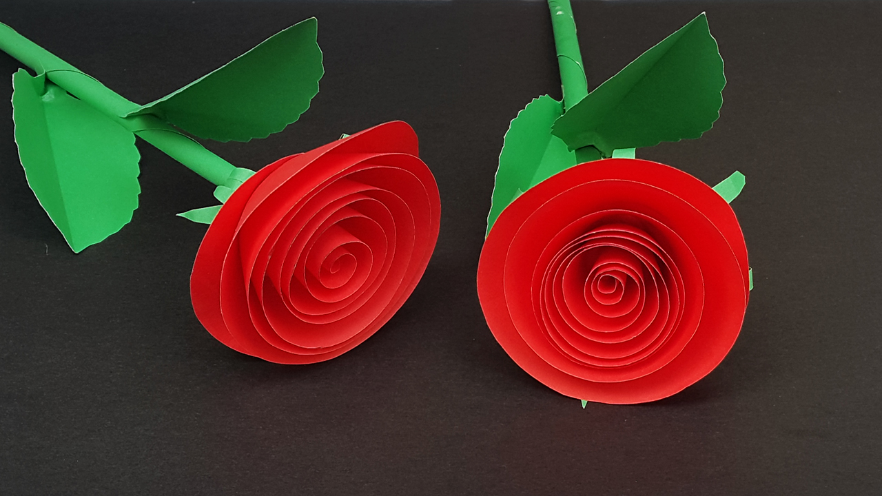 Essay on flowers picture