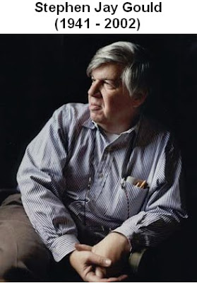 Stephen jay gould essays