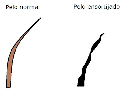 Pelo grueso