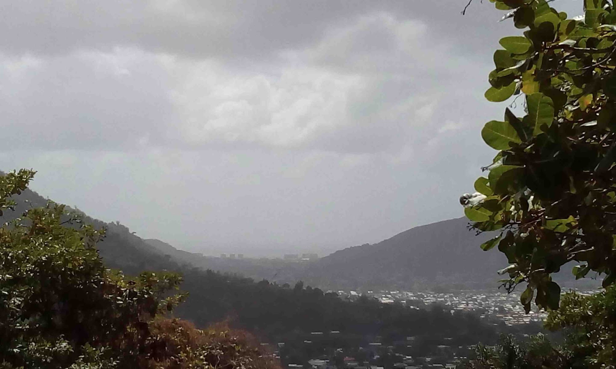 A view of Petit Valley
