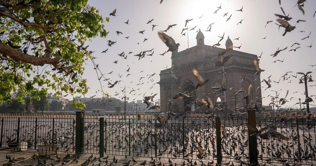 Positive impact of LOCKDOWNS🔒