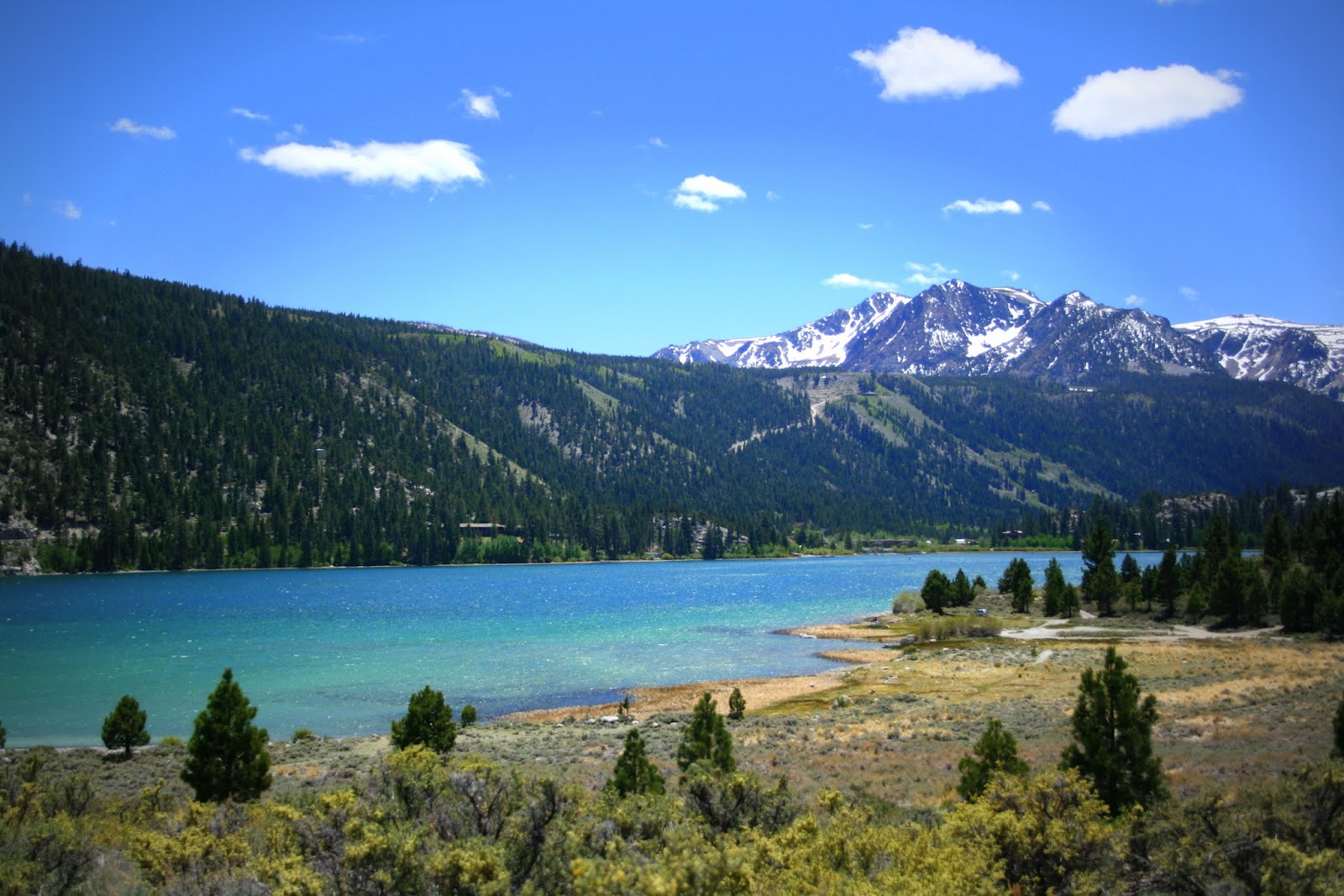 Stillhowlyntravels Around June Lake