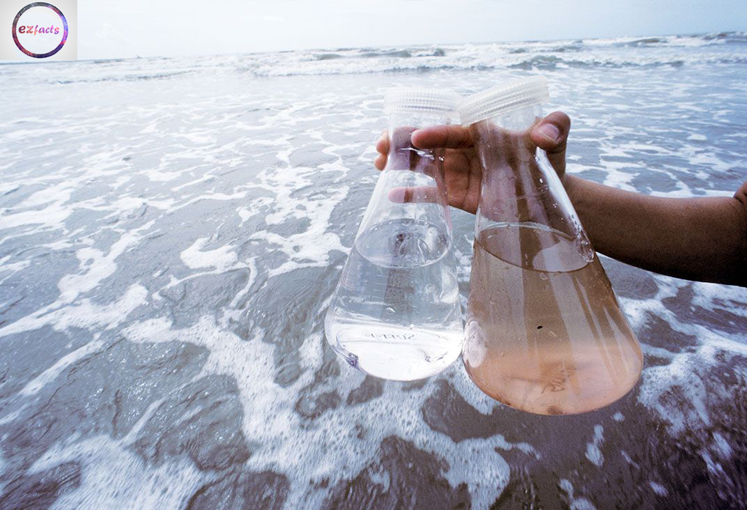 TOP 5 SCARY FACTS ABOUT OCEAN THAT YOU DIDN'T KNOW to ezfacts facts explorer